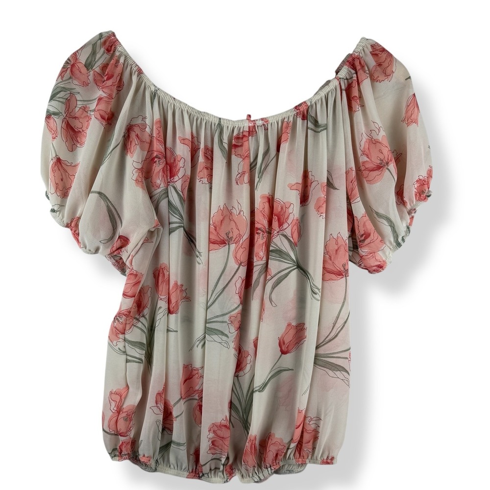 Vintage Floral Y2K Semi Sheer Off Shoulder Top Womens Size 2X Romantic Fairy